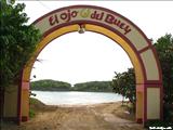 El Ojo del Buey - DORADO